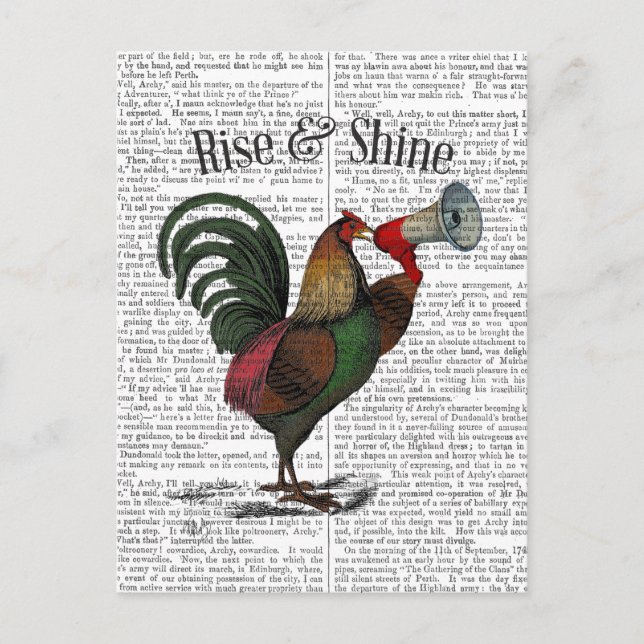 Carte Postale Coq avec Loudhailer 2 (Devant)