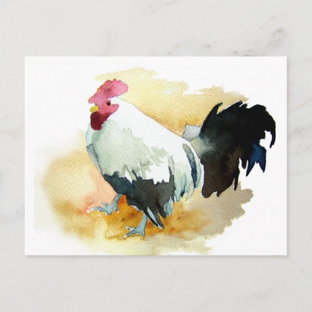 Carte Postale Coq avec une attitude (Devant)