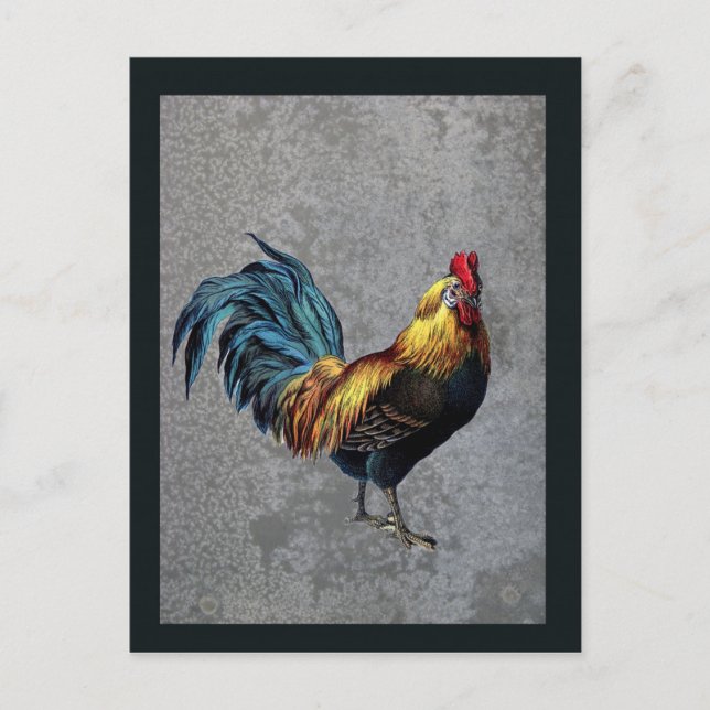 Carte Postale Coq Bantam Coloré (Devant)
