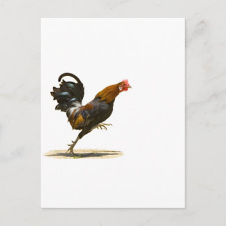 Carte Postale Coq rouge
