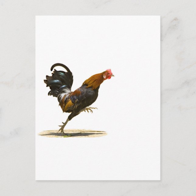 Carte Postale Coq rouge (Devant)