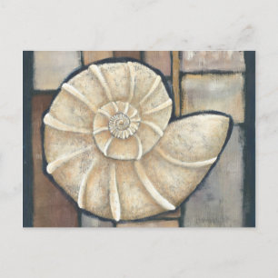 Carte Postale Coque d'Abalone