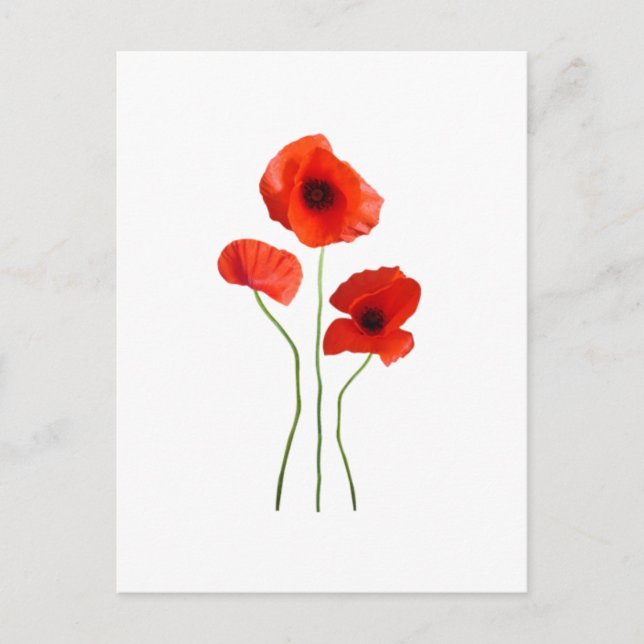 Carte Postale coquelicot (Devant)