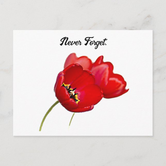Carte Postale Coquelicots Jour du Souvenir Ne Jamais Oublier Art (Devant)