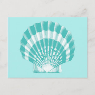 Carte Postale Coquillage - aqua doux et blanc