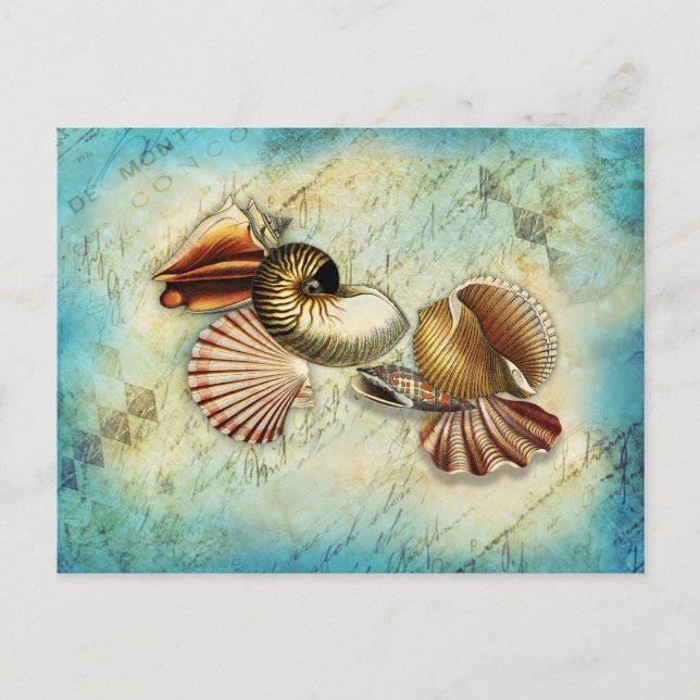 Carte Postale Coquillage océan bleu vintage (Devant)
