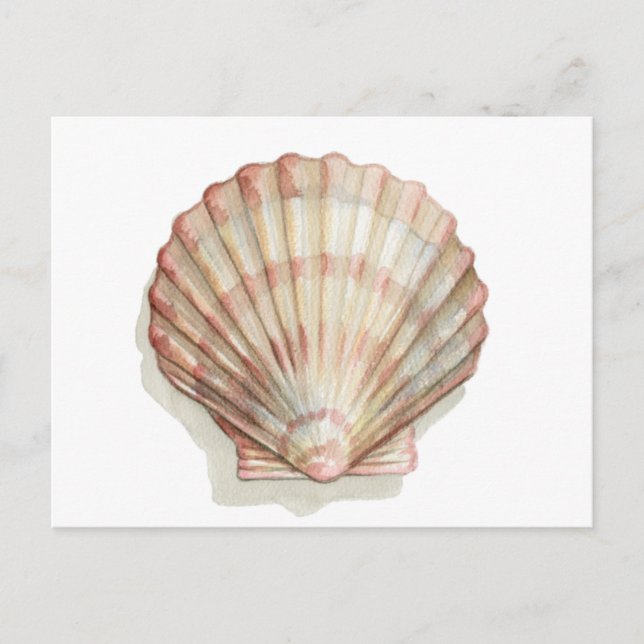 Carte Postale Coquillage rose et crème (Devant)