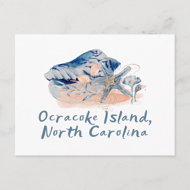 Carte Postale Coquillages de l'île Ocracoke (Devant)