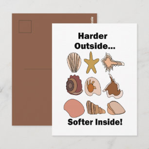 Carte Postale Coquillages Durs à l'Extérieur Douceur à l'Intérie