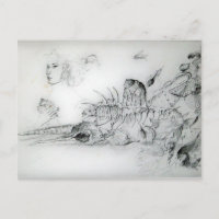 Coquillages et jeune fille Dessin noir et blanc