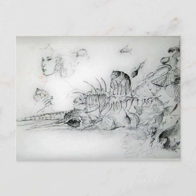 Carte Postale Coquillages et jeune fille dessin noir et blanc (Devant)