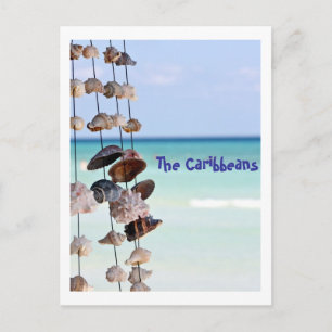 Carte Postale coquillages sur arrière - plan marin