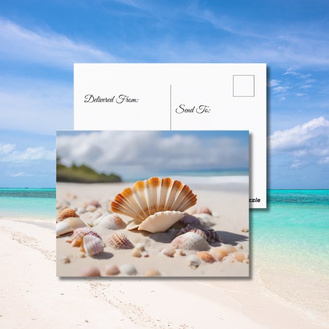 Carte Postale Coquillages sur la plage (Créateur téléchargé)