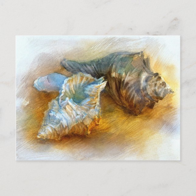 Carte Postale Coquillages sur la plage (Devant)