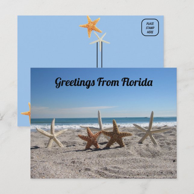 Carte Postale Coquillages sur la plage - Florida Life (Devant / Derrière)