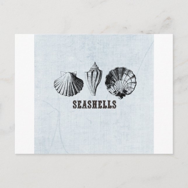 Carte Postale Coquillages vintages (Devant)