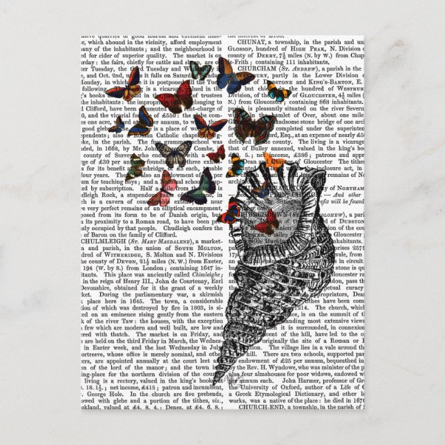Carte Postale Coquille de conque et papillons 2 (Devant)