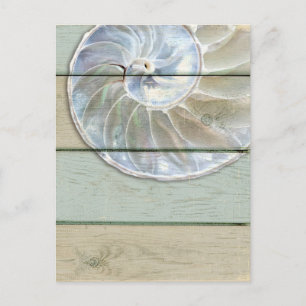 Carte Postale Coquille de Nautilus