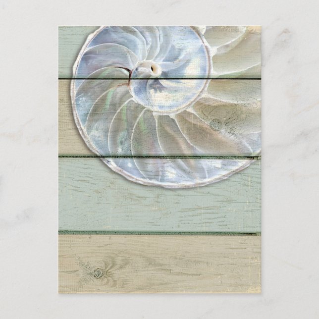 Carte Postale Coquille de Nautilus (Devant)