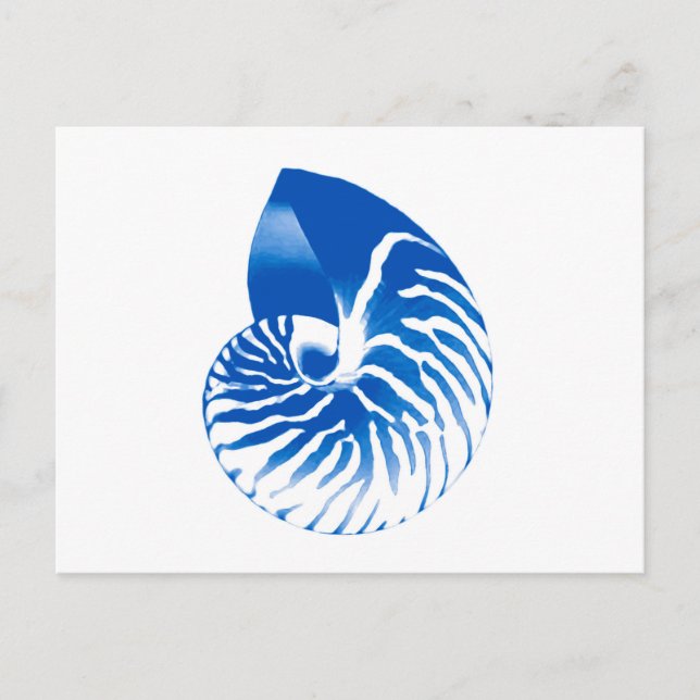 Carte Postale Coquille de Nautilus - bleu cobalt et blanc (Devant)