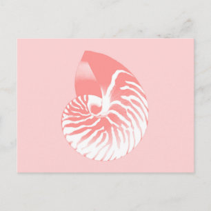 Carte Postale Coquille de Nautilus - corail rose et blanc
