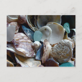 Carte Postale Coquille de verre marin collectée