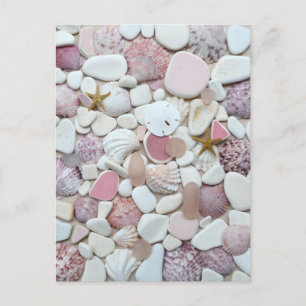 Carte Postale Coquille rose mer verre de plage art photo poterie