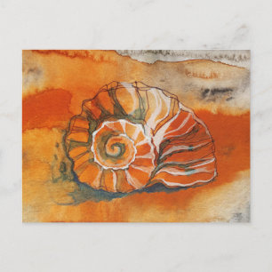 Carte Postale Coquille Sur La Plage Aquarelle Dessin Nautique