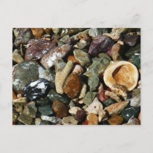 Carte Postale Coquilles, rochers et corail Photographie de la na
