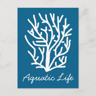 Carte Postale Corail blanc sur la vie aquatique bleue