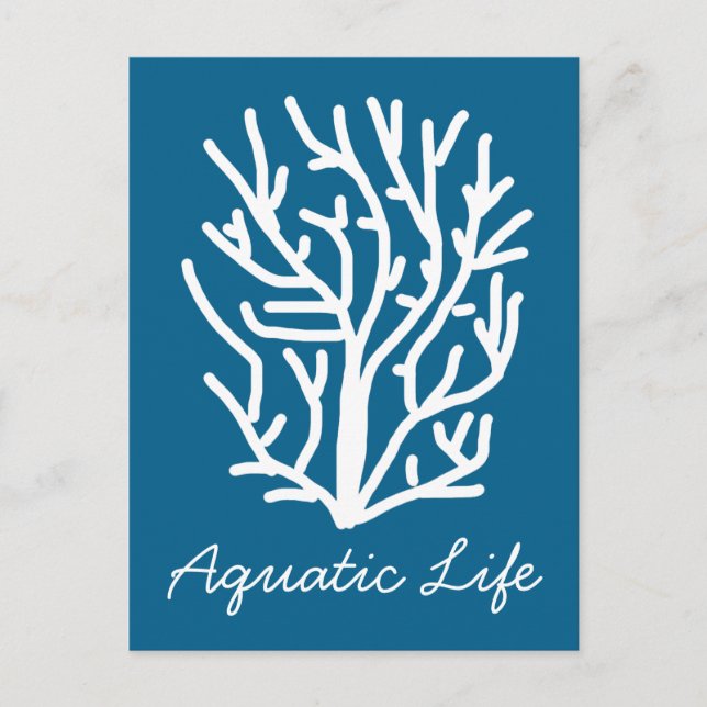 Carte Postale Corail blanc sur la vie aquatique bleue (Devant)