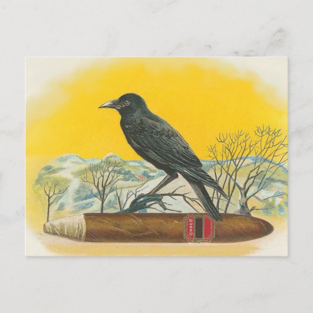 Carte Postale Corbeau (Devant)