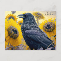 Corbeau dans le champ de tournesol