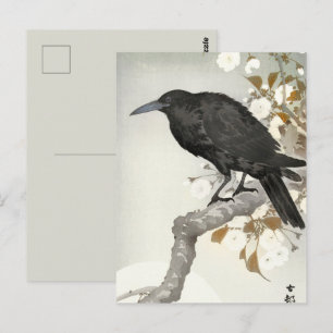 Carte Postale Corbeau Koson Japon Oiseau Corneille