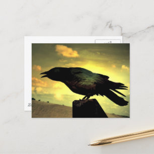 Carte Postale Corbeau noir
