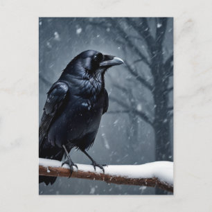 Carte Postale Corbeau noir du corbeau sombre