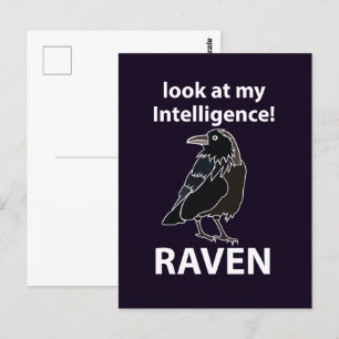 Carte Postale Corbeau Regarde Mon Intelligence Corbeau