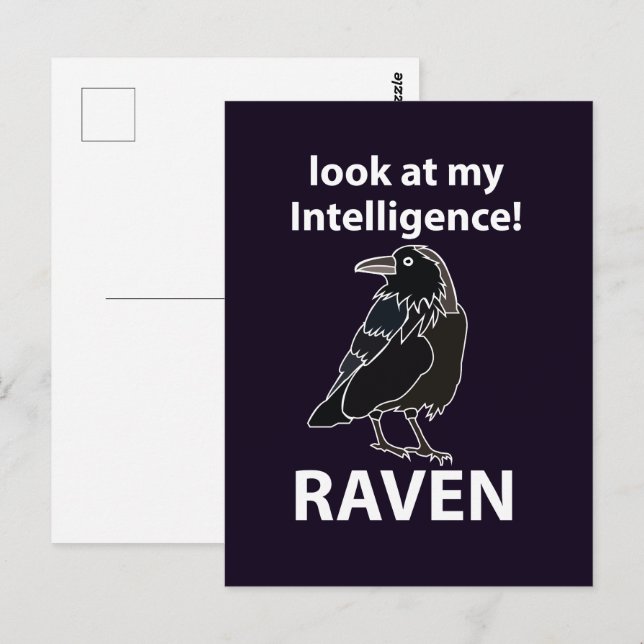 Carte Postale Corbeau Regarde Mon Intelligence Corbeau (Devant / Derrière)