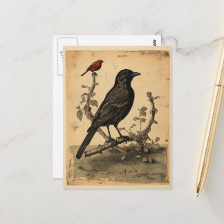 Carte Postale Corbeau vintage et Oiseau rouge