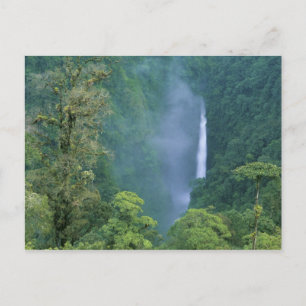 Carte Postale Cordillère Centrale, chute d'Ange (Congo), nombreu