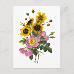 Carte Postale Coréopsis et Roses Hips Redoute Bouquet