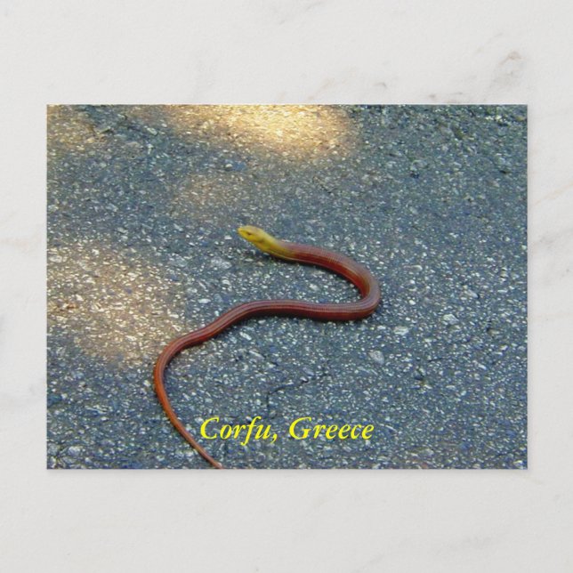 Carte Postale Corfou, Grèce (Devant)