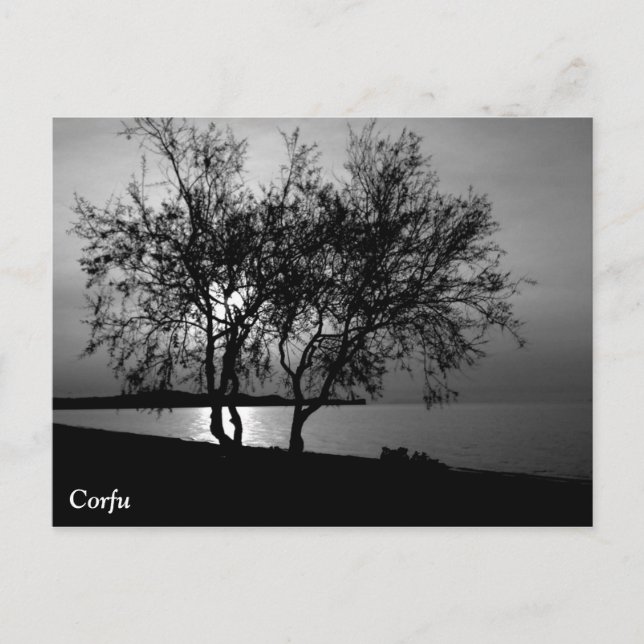 Carte Postale Corfou Times (Devant)