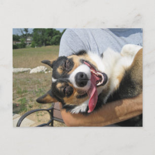 Carte Postale Corgi Chien mignon et souriant