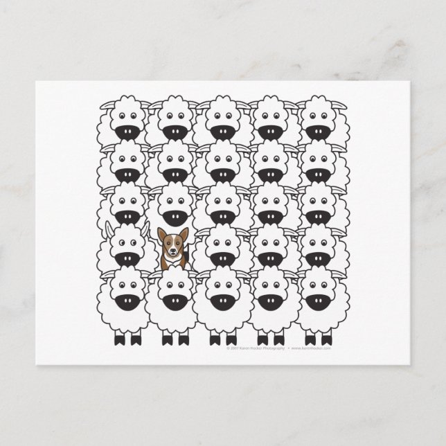 Carte Postale Corgi dans le mouton (Devant)