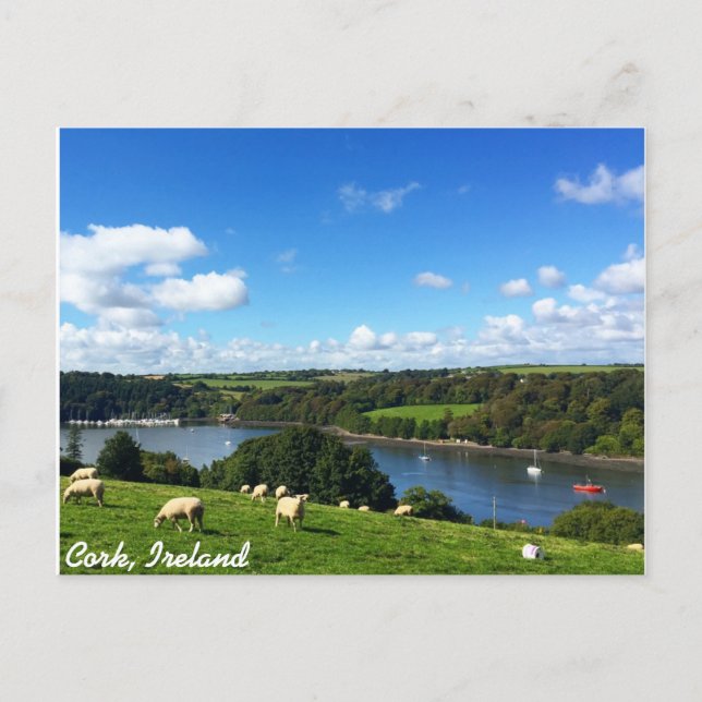 Carte postale Cork, Irlande (Devant)
