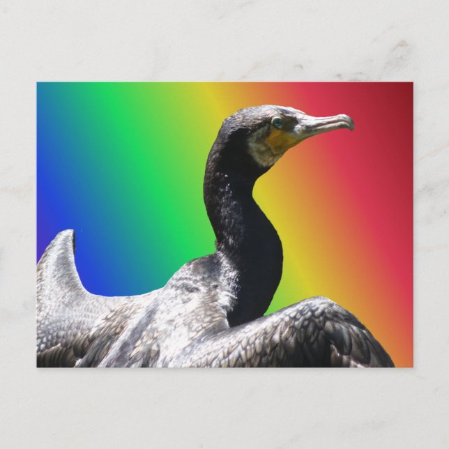 Carte postale Cormorant Rainbow do-it-yourself (Devant)