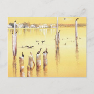 Carte Postale "Cormorants" Aquarelle Plage Oiseaux