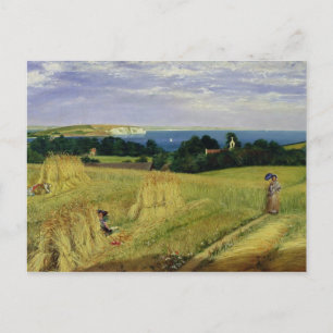 Carte Postale Corn Field dans l'île de Wight