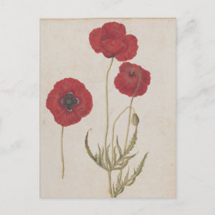Carte Postale Corn Poppies par Jacques de Morgues